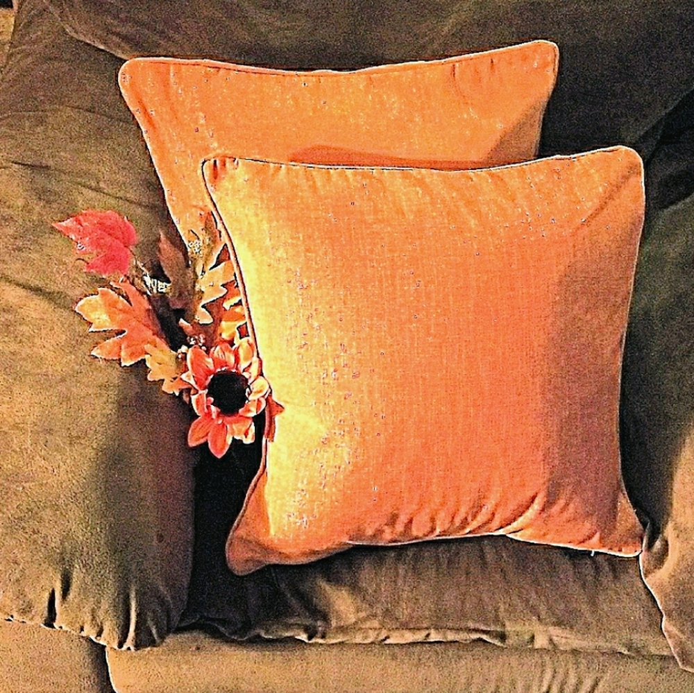 Rodeo Home Down Pillows